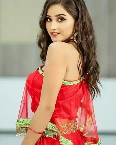 Call Girls Service Ottapidaram